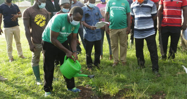 HTU Joins Green Ghana Day, Plants Over 500 Trees